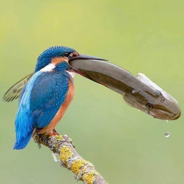 page,15,top 750 daily pics of the year 2019.html - 1 HD Photos | Premium Gallery 2019