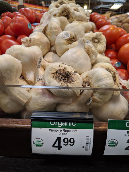 page,8,top 250 morning pics of the year 2019.html - 1 HD Photos | Premium Gallery 2019