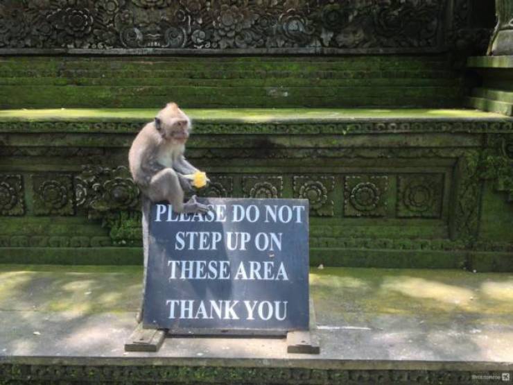 Morning Picdump