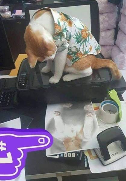 page,26,top 750 daily pics of the year 2019.html - 1 HD Photos | Premium Gallery 2019