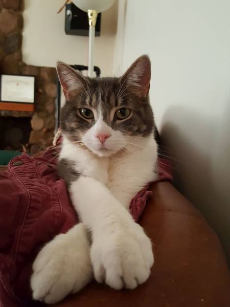 page,15,top 750 daily pics of the year 2019.html - 1 HD Photos | Premium Gallery 2019