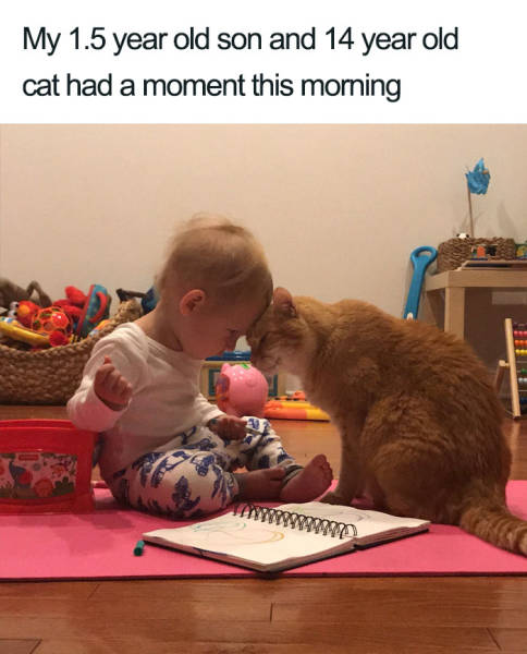 page,4,top 100 animals pics of the year 2019.html - 1 HD Photos | Premium Gallery 2019