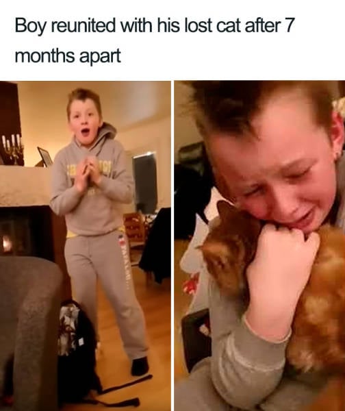 page,2,top 100 animals pics of the year 2019.html - 1 HD Photos | Premium Gallery 2019