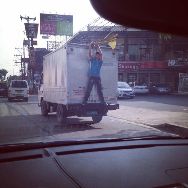 morning picdump 51 pics 6.html - 51 HD Photos | Premium Gallery 2019