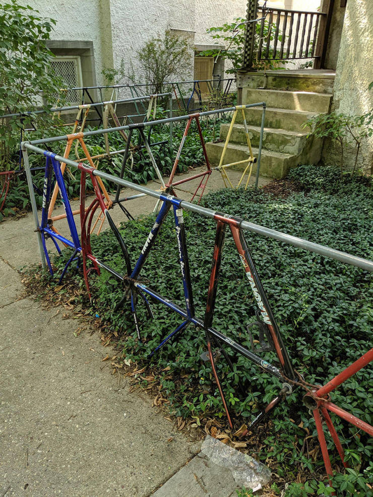 morning picdump 51 pics 6.html - 51 HD Photos | Premium Gallery 2019