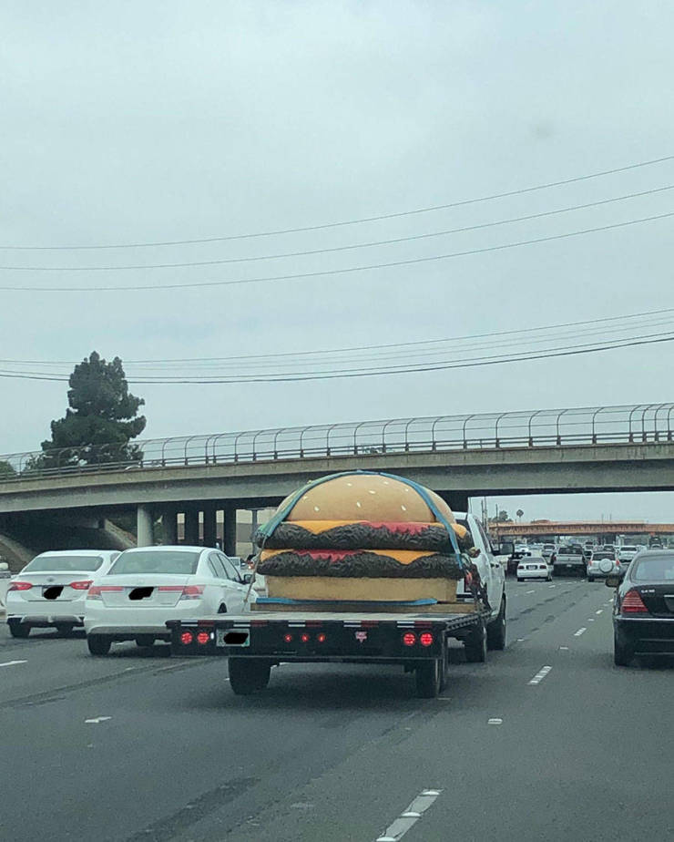 morning picdump 51 pics 6.html - 51 HD Photos | Premium Gallery 2019