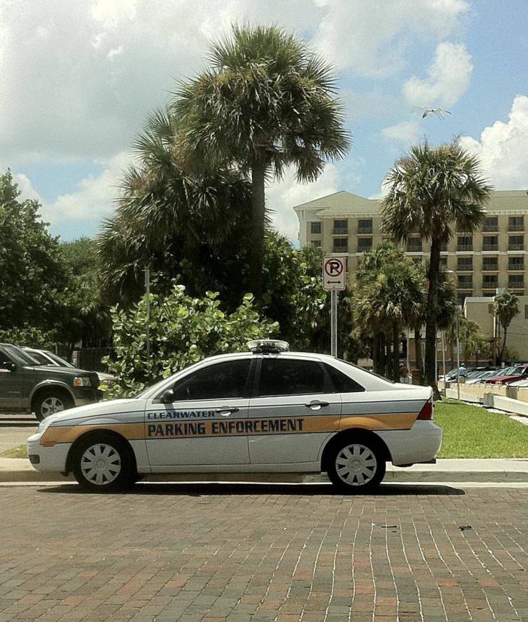 morning picdump 51 pics 6.html - 51 HD Photos | Premium Gallery 2019