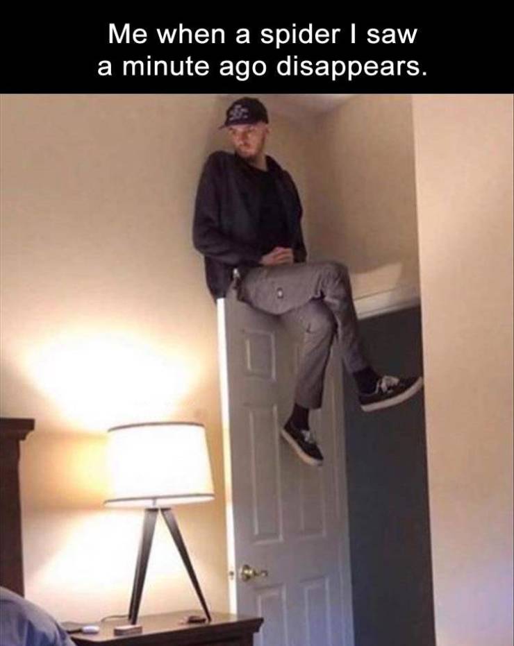 funny picdump 52 pics 3.html - 52 HD Photos | Premium Gallery 2019