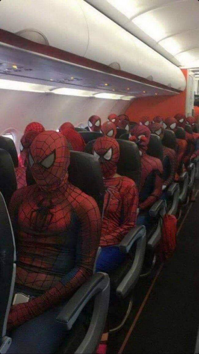 funny picdump 52 pics 3.html - 52 HD Photos | Premium Gallery 2019