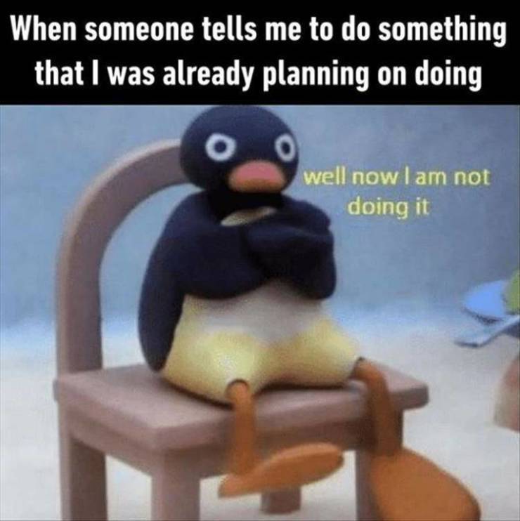 funny picdump 52 pics 3.html - 52 HD Photos | Premium Gallery 2019