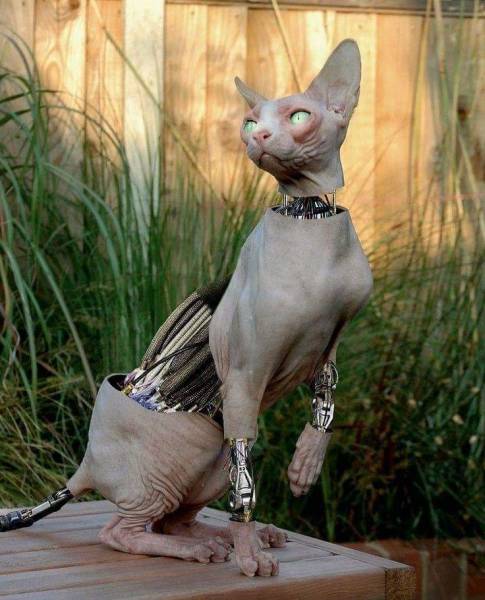 page,4,top 250 morning pics of the year 2019.html - 1 HD Photos | Premium Gallery 2019