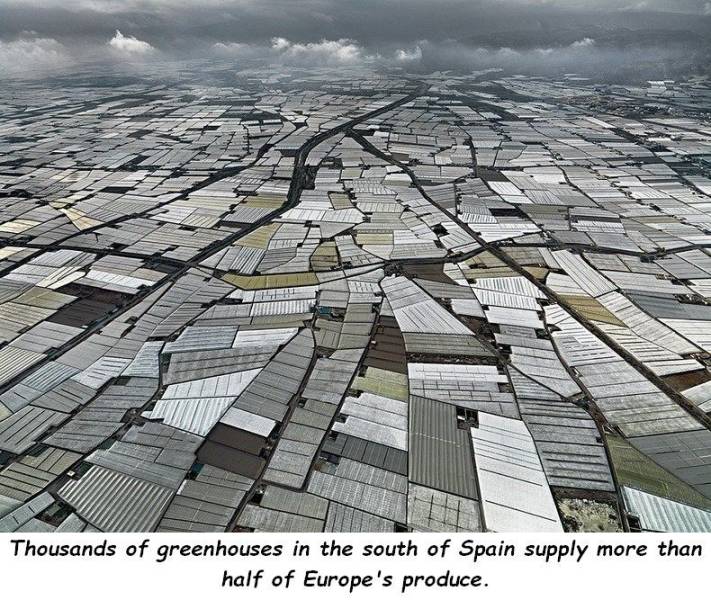 daily picdump 97 pics 26.html - 97 HD Photos | Premium Gallery 2019