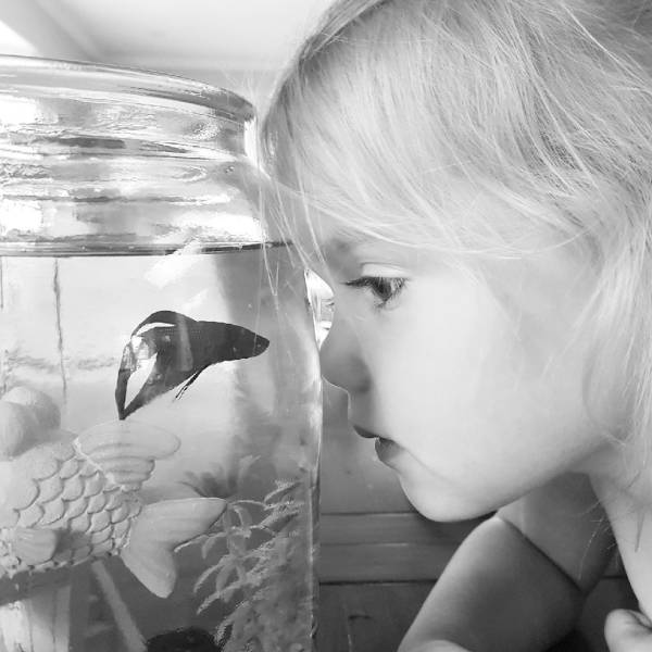 daily picdump 97 pics 26.html - 97 HD Photos | Premium Gallery 2019