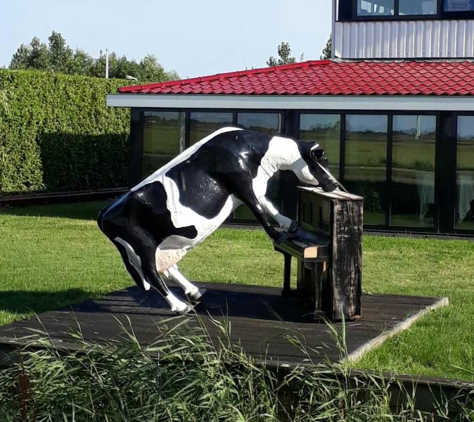 daily picdump 97 pics 26.html - 97 HD Photos | Premium Gallery 2019