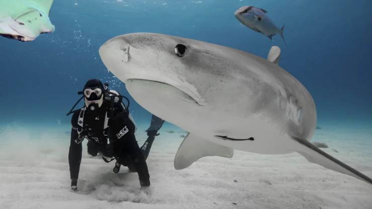 daily picdump 97 pics 26.html - 97 HD Photos | Premium Gallery 2019