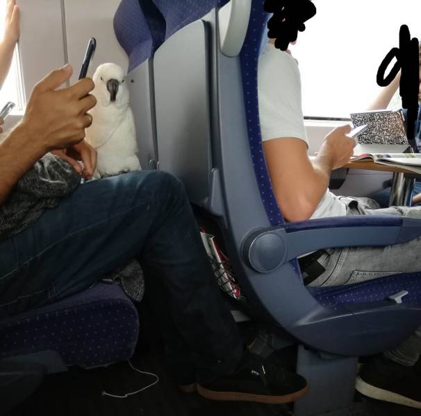 daily picdump 97 pics 26.html - 97 HD Photos | Premium Gallery 2019