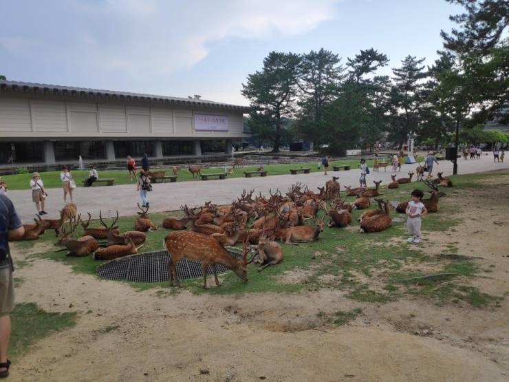 daily picdump 97 pics 26.html - 97 HD Photos | Premium Gallery 2019