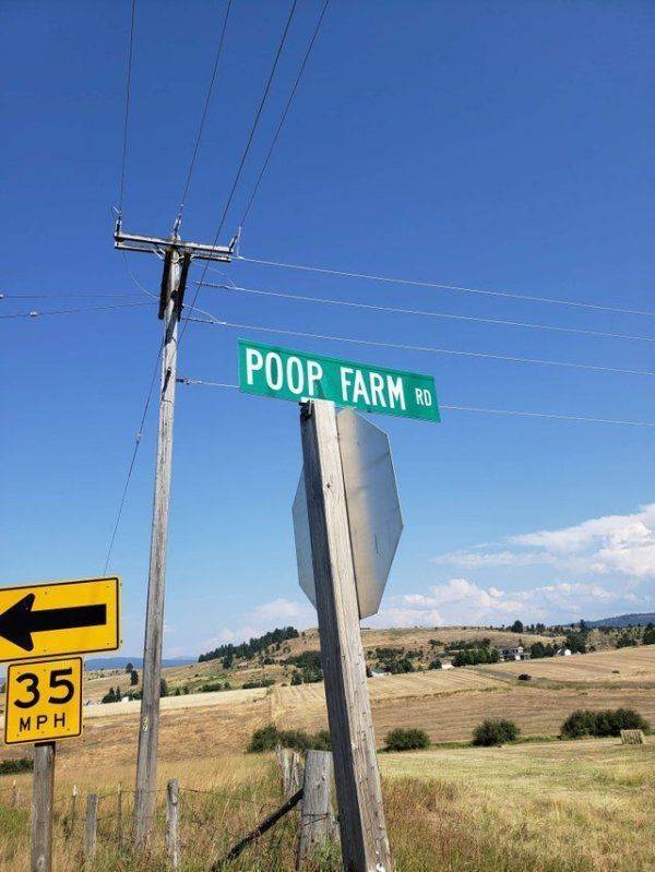 daily picdump 97 pics 26.html - 97 HD Photos | Premium Gallery 2019