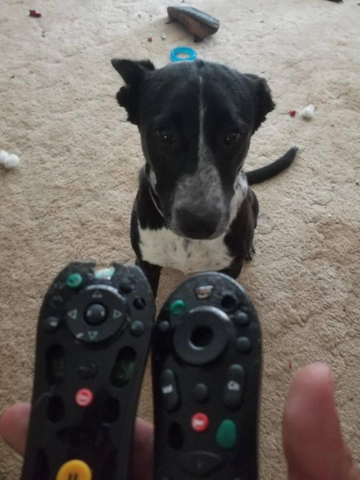 daily picdump 97 pics 26.html - 97 HD Photos | Premium Gallery 2019