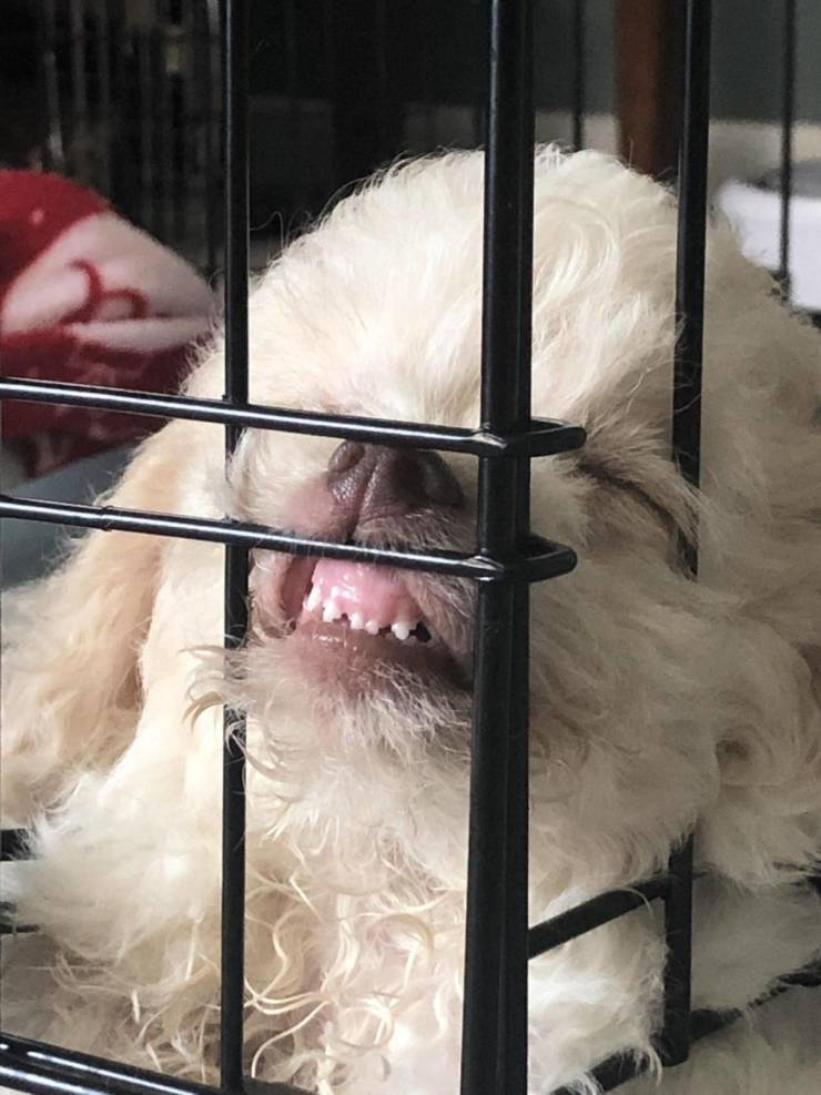 daily picdump 97 pics 26.html - 97 HD Photos | Premium Gallery 2019