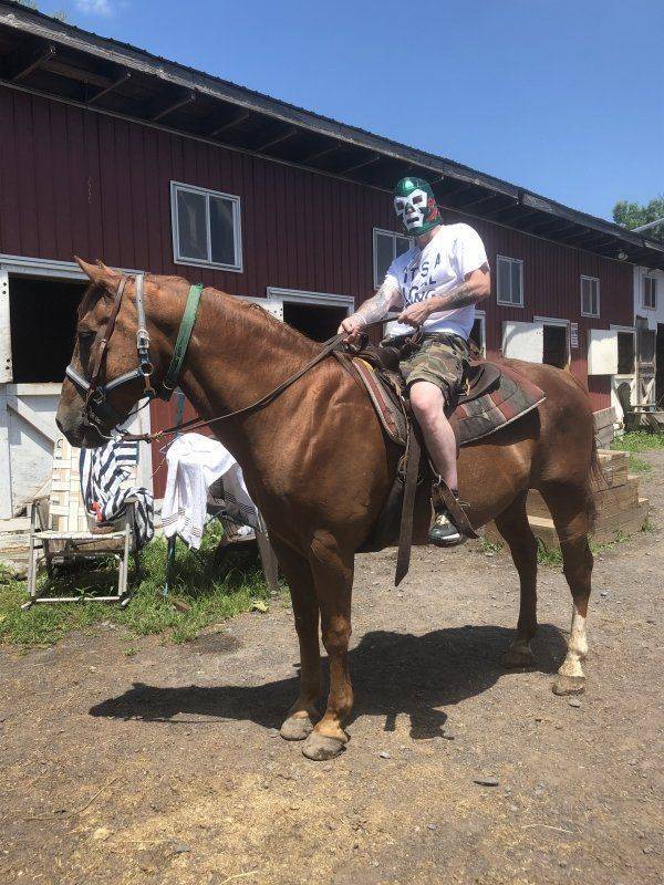 daily picdump 97 pics 26.html - 97 HD Photos | Premium Gallery 2019