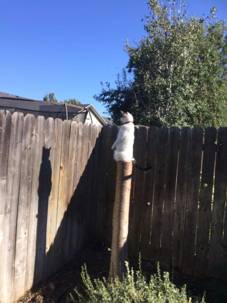 Daily Picdump [WEEKEND EDITION]