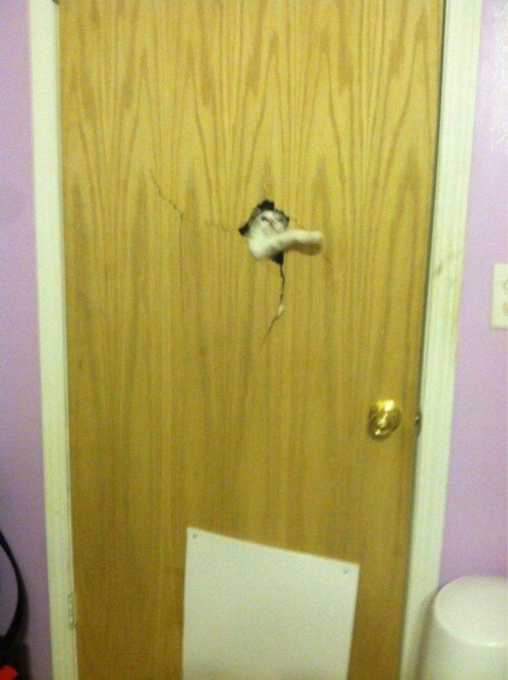 daily picdump weekend edition 74 pics 15.html - 74 HD Photos | Premium Gallery 2019