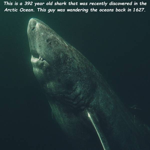 page,6,top 750 daily pics of the year 2019.html - 1 HD Photos | Premium Gallery 2019