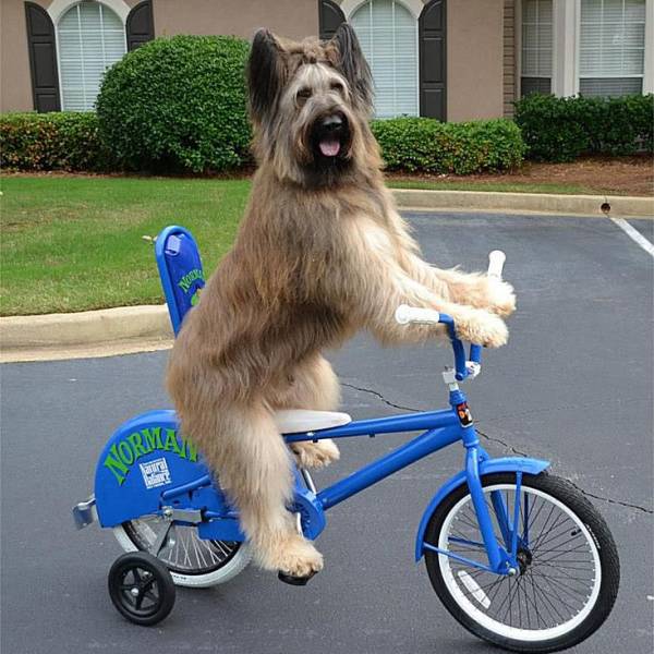 funny picdump 50 pics 11.html - 50 HD Photos | Premium Gallery 2019