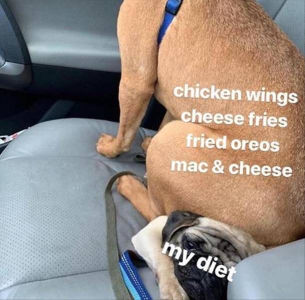 funny picdump 50 pics 11.html - 50 HD Photos | Premium Gallery 2019