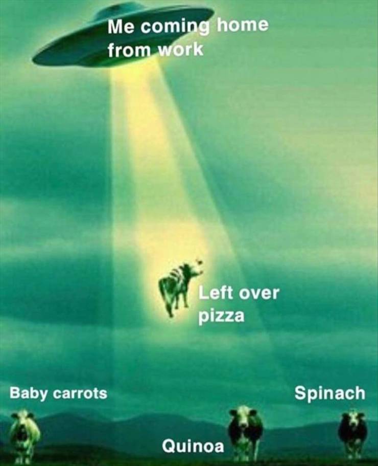 funny picdump 50 pics 11.html - 50 HD Photos | Premium Gallery 2019