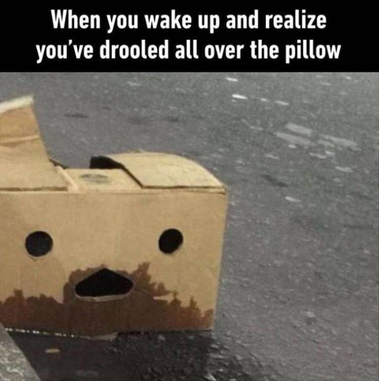 funny picdump 50 pics 11.html - 50 HD Photos | Premium Gallery 2019
