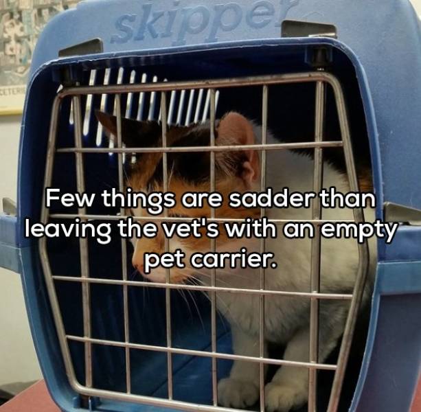 page,4,top 100 interesting pics of the year 2019.html - 1 HD Photos | Premium Gallery 2019