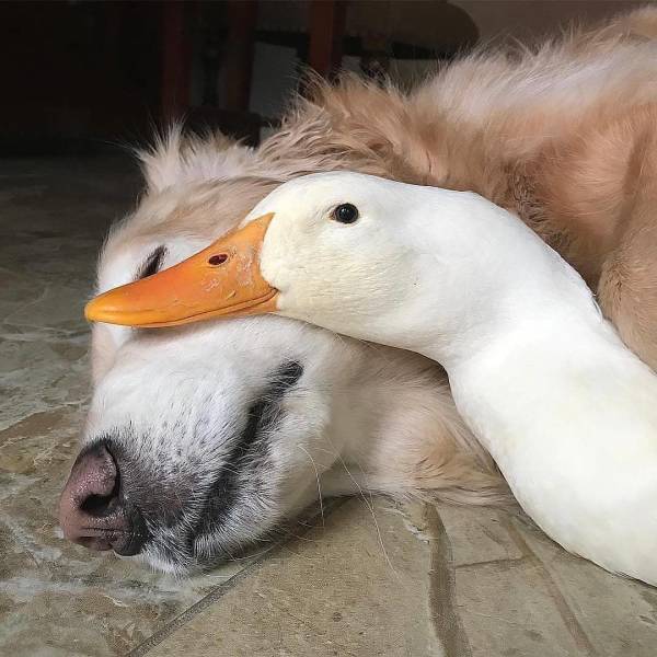 Daily Picdump