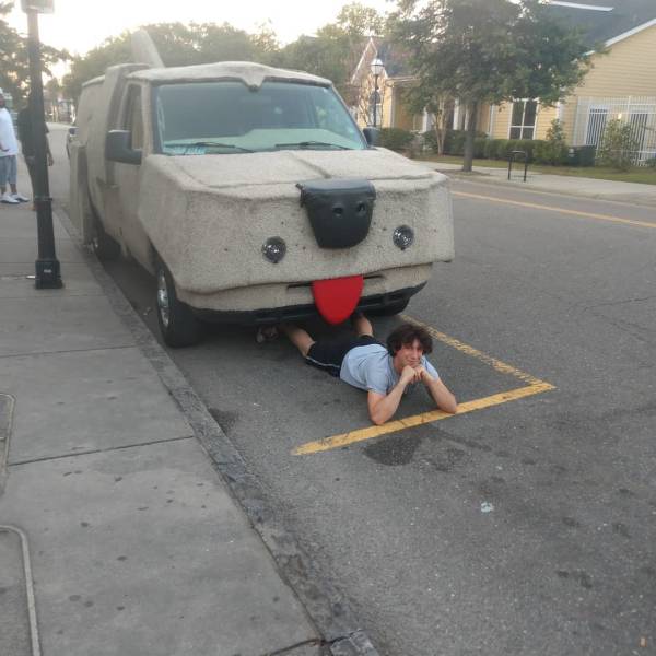 daily picdump 86 pics 30.html - 86 HD Photos | Premium Gallery 2019