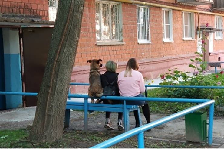 page,8,top 250 morning pics of the year 2019.html - 1 HD Photos | Premium Gallery 2019