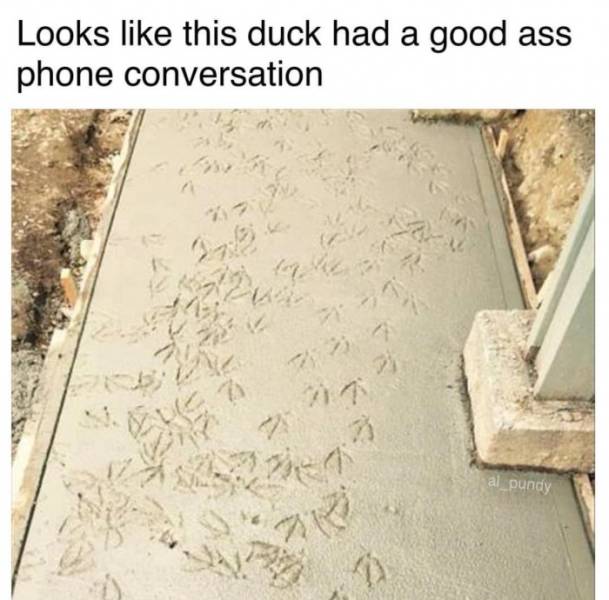 Funny Picdump