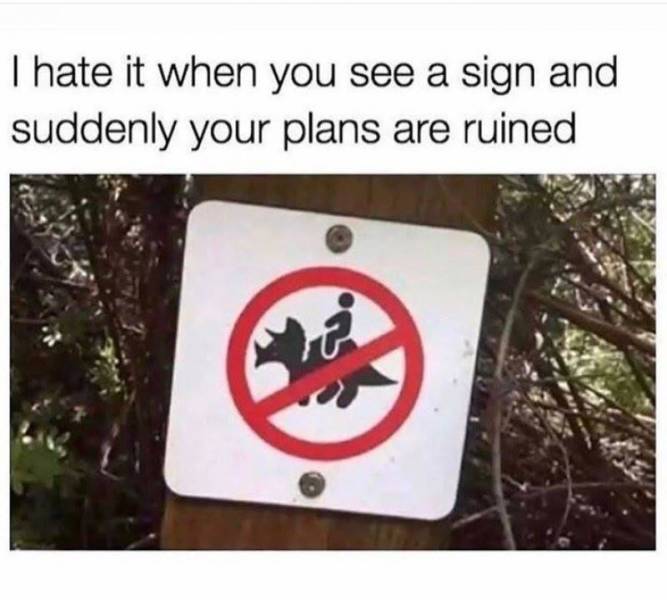 funny picdump 50 pics 12.html - 50 HD Photos | Premium Gallery 2019