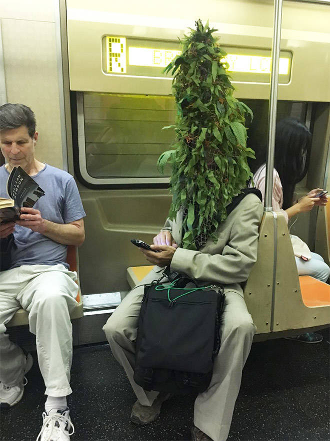 funny picdump 50 pics 12.html - 50 HD Photos | Premium Gallery 2019