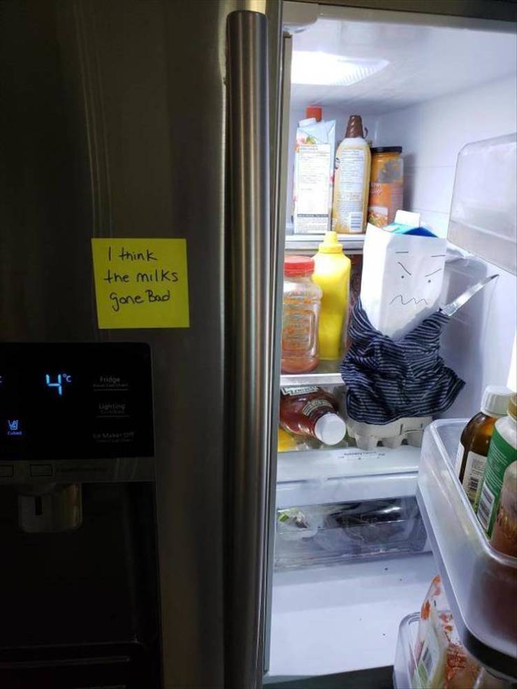 funny picdump 50 pics 12.html - 50 HD Photos | Premium Gallery 2019