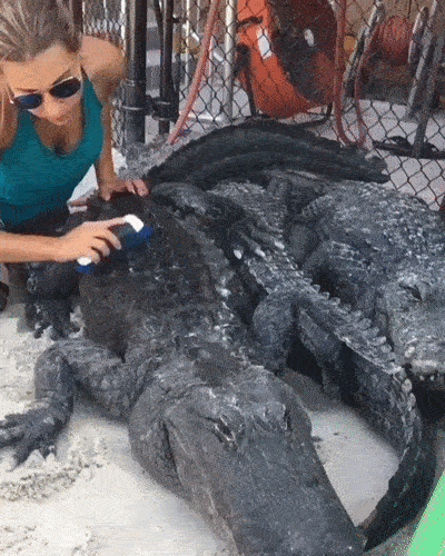 These Girls Have Got Some Serious Talents