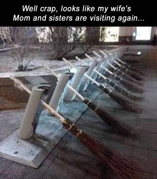 page,9,top 250 funny pics of the year 2019.html - 1 HD Photos | Premium Gallery 2019