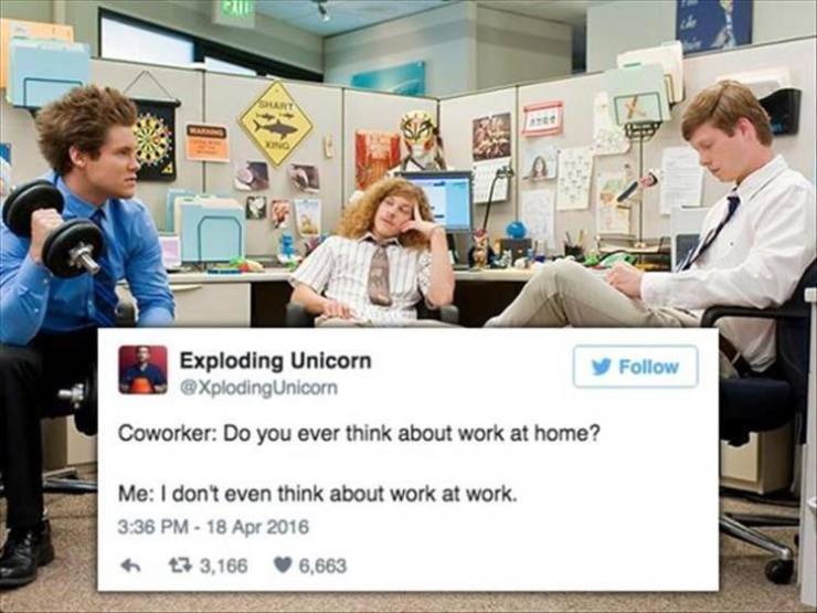 page,9,top 250 funny pics of the year 2019.html - 1 HD Photos | Premium Gallery 2019