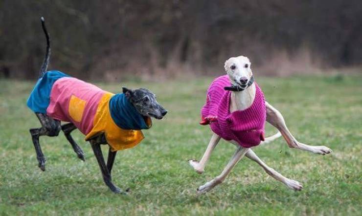 daily picdump 88 pics 41.html - 88 HD Photos | Premium Gallery 2019