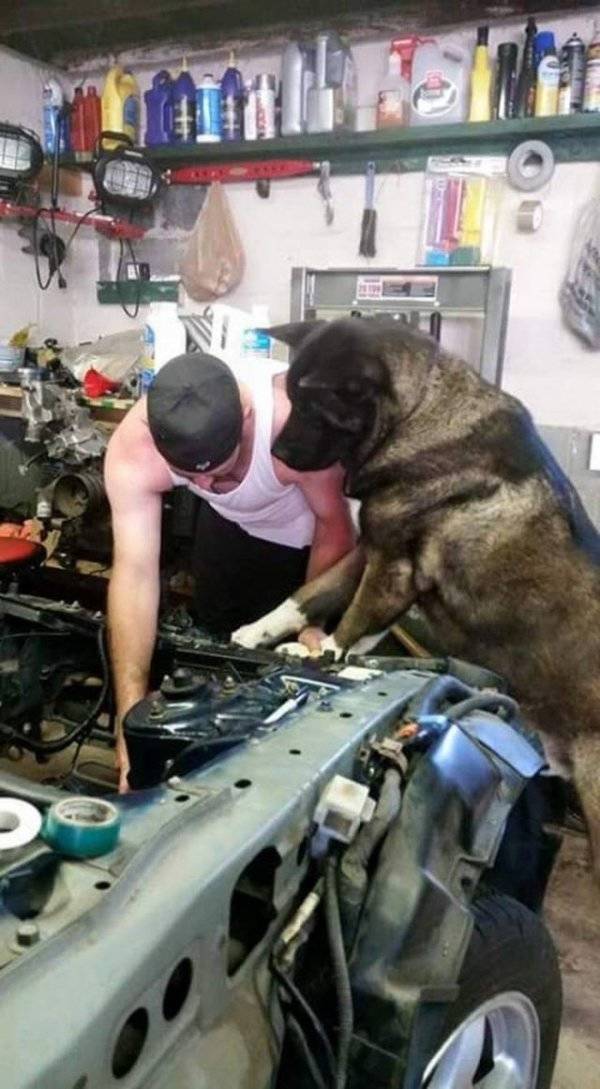 daily picdump 88 pics 41.html - 88 HD Photos | Premium Gallery 2019
