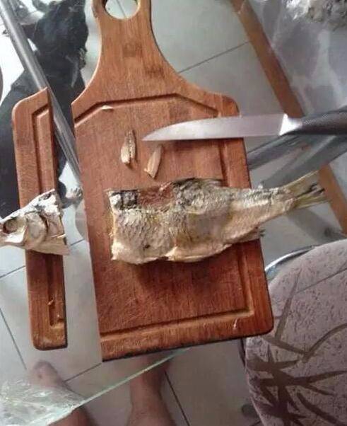 daily picdump 88 pics 41.html - 88 HD Photos | Premium Gallery 2019