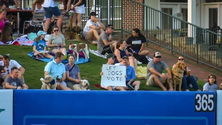 Hard-to-explain WTF Photos