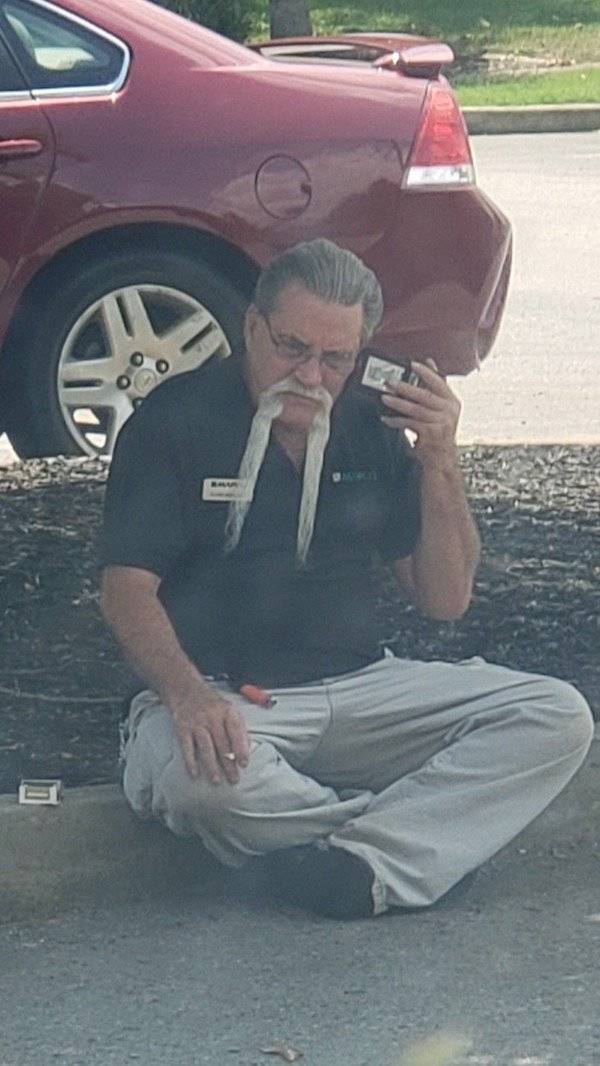 Hard-to-explain WTF Photos