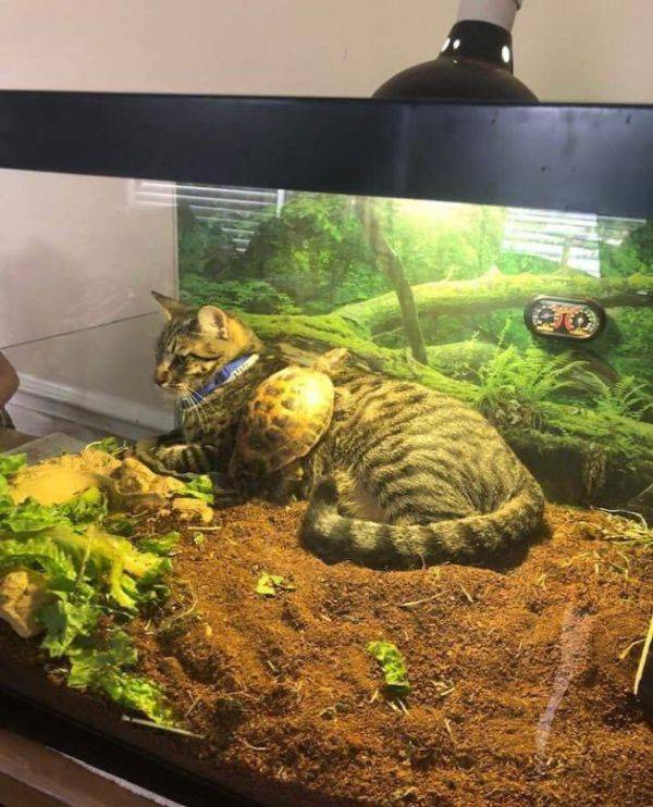 Hard-to-explain WTF Photos