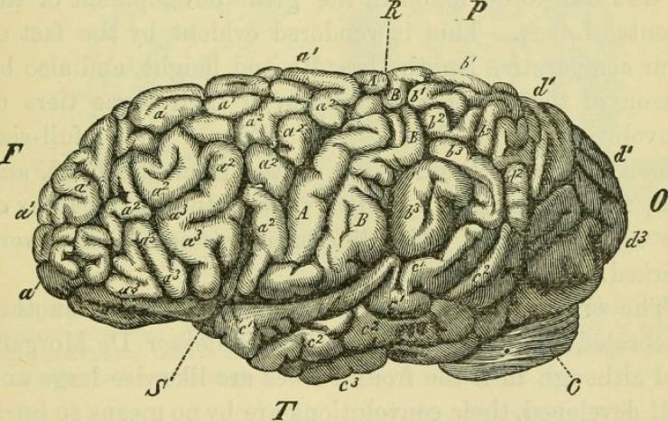 Very Kinky Facts About Adult Entertainment